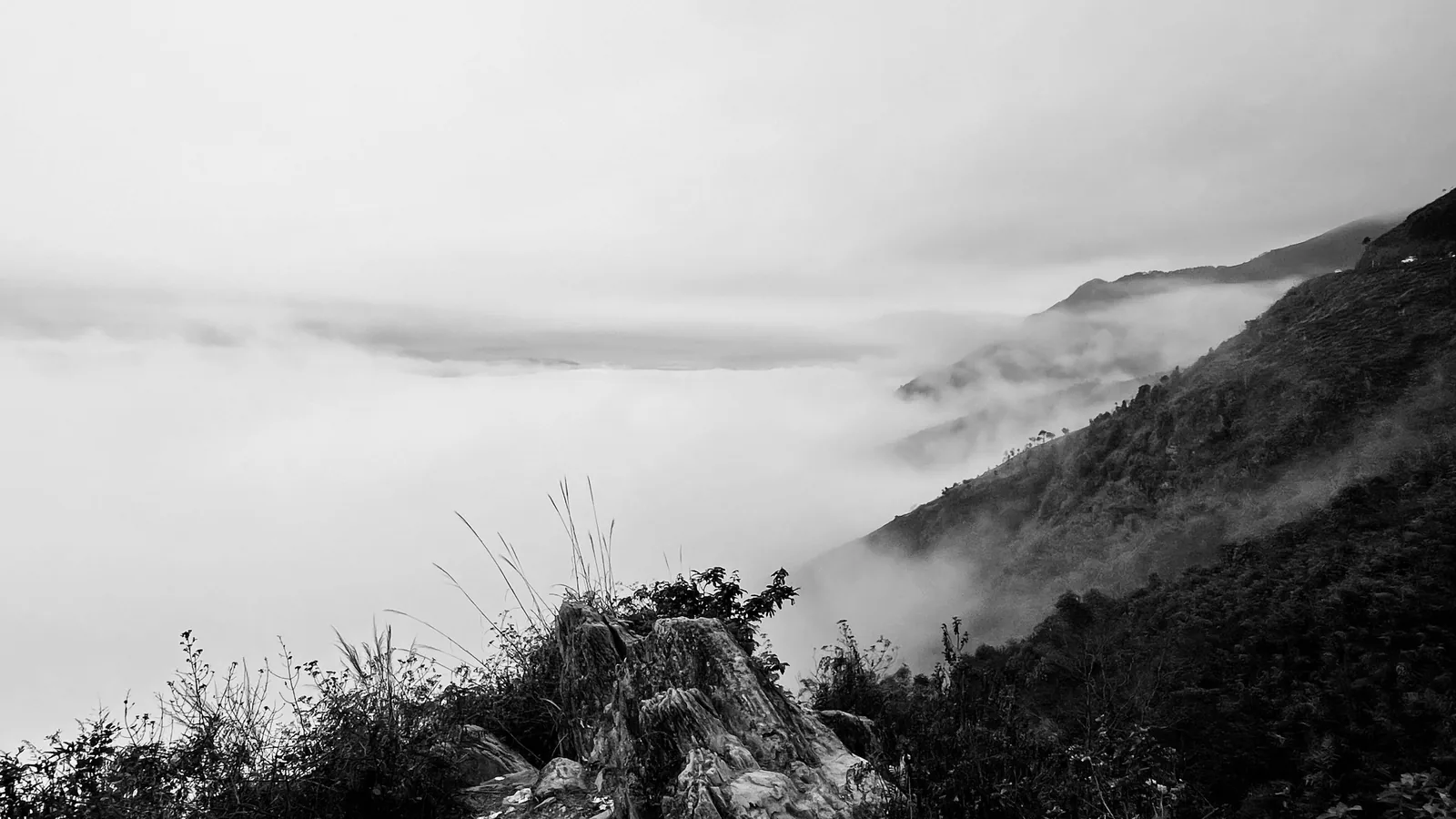 A sea of clouds blankets the valley below rocky, grass-covered ridges in Ta Xua, Son La.